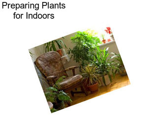 Preparing Plants for Indoors