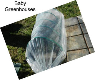 Baby Greenhouses