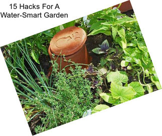 15 Hacks For A Water-Smart Garden