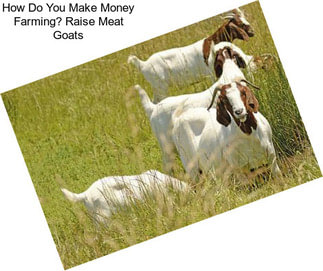 How Do You Make Money Farming? Raise Meat Goats