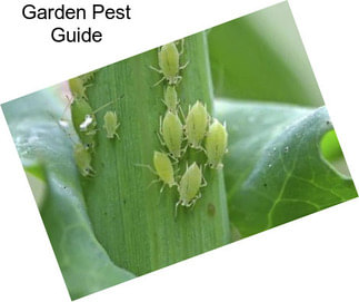 Garden Pest Guide