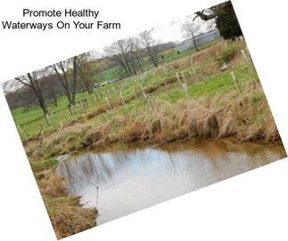 Promote Healthy Waterways On Your Farm