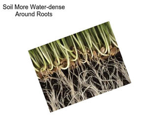 Soil More Water-dense Around Roots