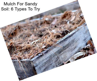 Mulch For Sandy Soil: 6 Types To Try