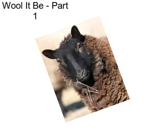 Wool It Be - Part 1