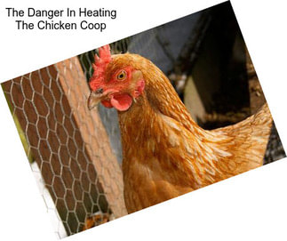 The Danger In Heating The Chicken Coop