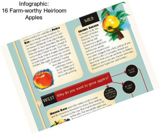 Infographic: 16 Farm-worthy Heirloom Apples