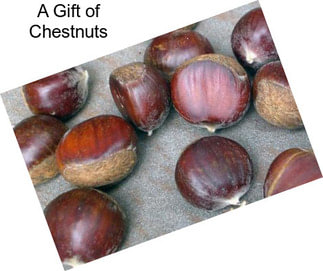 A Gift of Chestnuts