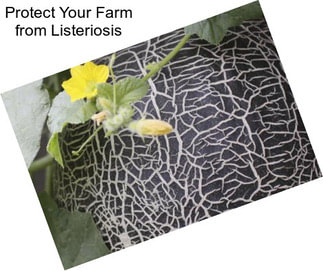 Protect Your Farm from Listeriosis