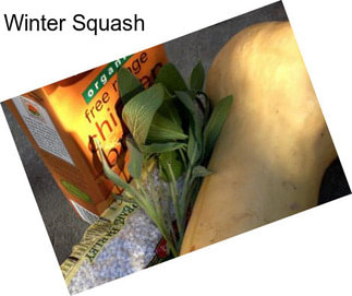 Winter Squash