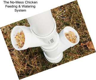 The No-Mess Chicken Feeding & Watering System