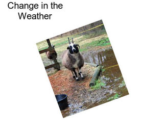 Change in the Weather