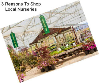 3 Reasons To Shop Local Nurseries