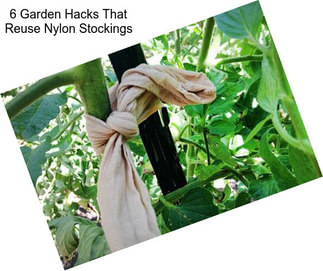 6 Garden Hacks That Reuse Nylon Stockings