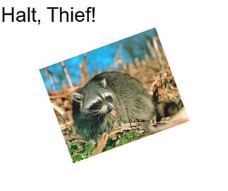 Halt, Thief!