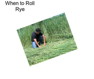 When to Roll Rye