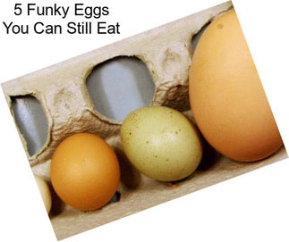 5 Funky Eggs You Can Still Eat