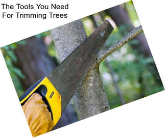 The Tools You Need For Trimming Trees