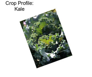 Crop Profile: Kale