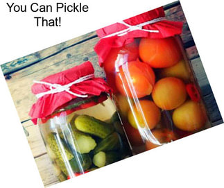 You Can Pickle That!