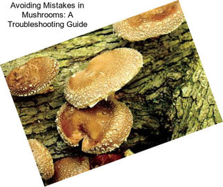 Avoiding Mistakes in Mushrooms: A Troubleshooting Guide