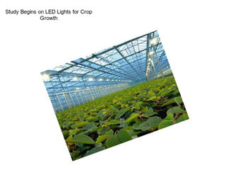 Study Begins on LED Lights for Crop Growth