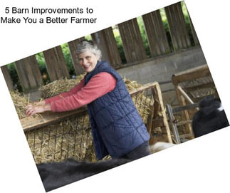 5 Barn Improvements to Make You a Better Farmer