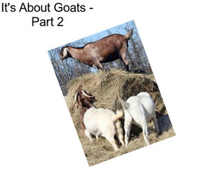 It\'s About Goats - Part 2