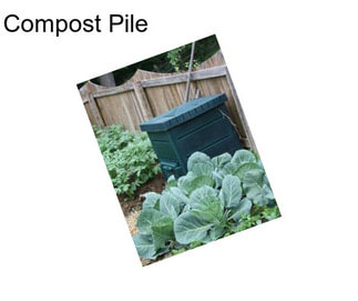 Compost Pile