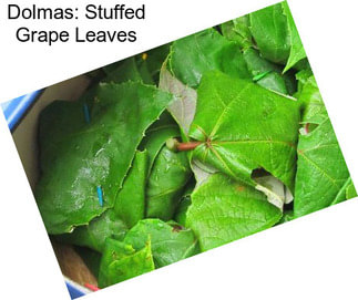 Dolmas: Stuffed Grape Leaves