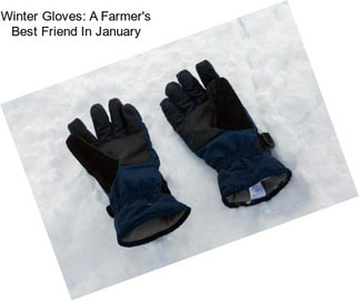 Winter Gloves: A Farmer\'s Best Friend In January