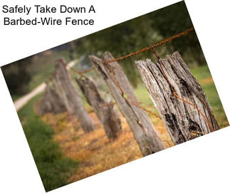 Safely Take Down A Barbed-Wire Fence