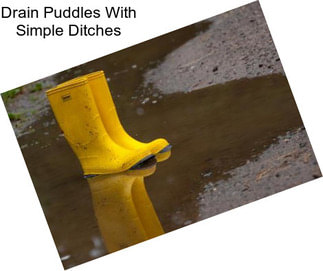 Drain Puddles With Simple Ditches