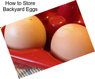 How to Store Backyard Eggs