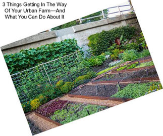 3 Things Getting In The Way Of Your Urban Farm—And What You Can Do About It