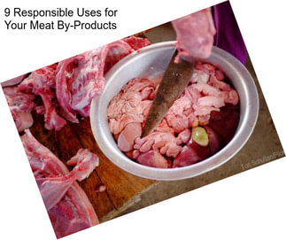 9 Responsible Uses for Your Meat By-Products