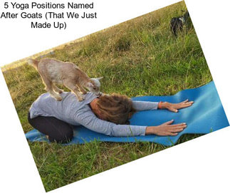 5 Yoga Positions Named After Goats (That We Just Made Up)