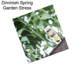 Diminish Spring Garden Stress