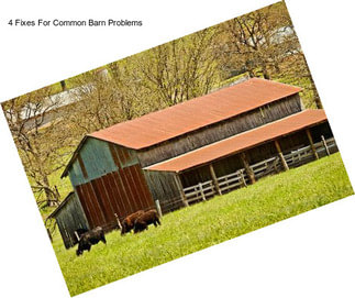 4 Fixes For Common Barn Problems