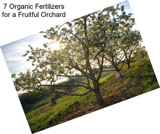7 Organic Fertilizers for a Fruitful Orchard