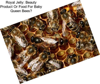 Royal Jelly: Beauty Product Or Food For Baby Queen Bees?