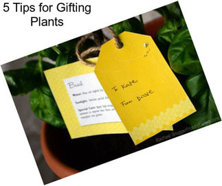 5 Tips for Gifting Plants