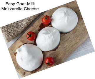 Easy Goat-Milk Mozzarella Cheese