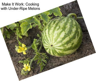 Make It Work: Cooking with Under-Ripe Melons