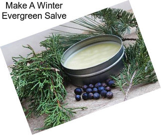 Make A Winter Evergreen Salve