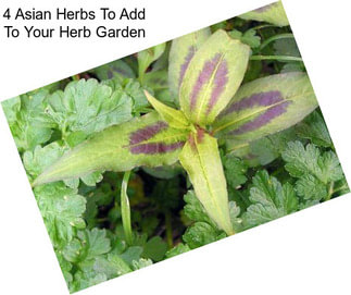 4 Asian Herbs To Add To Your Herb Garden