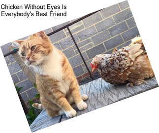 Chicken Without Eyes Is Everybody\'s Best Friend
