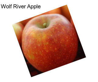 Wolf River Apple