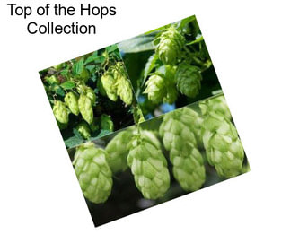 Top of the Hops Collection