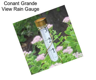 Conant Grande View Rain Gauge